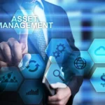 Asset Management Consulting Services