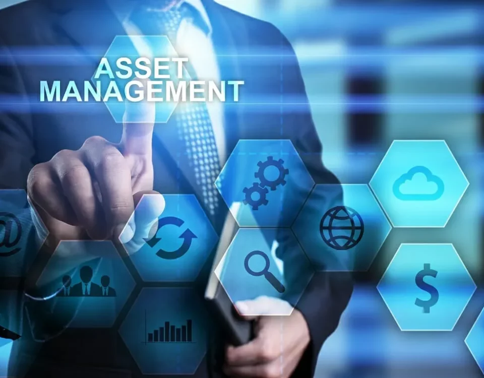 Asset Management Consulting Services