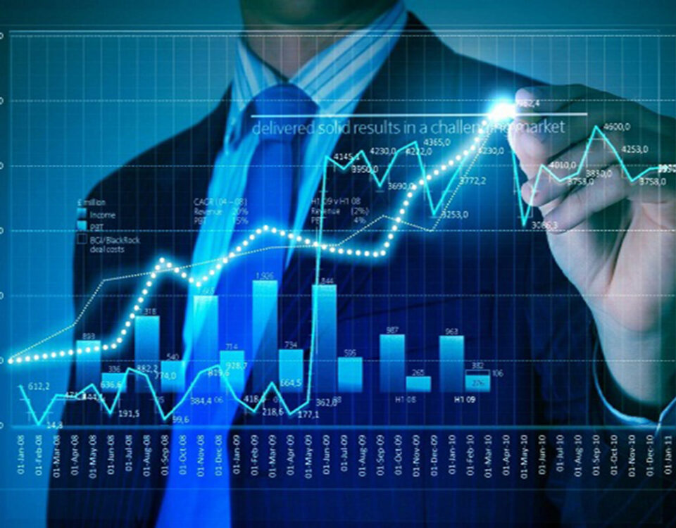 Capital & Digital Asset Pricing Model