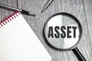 Asset Management Ratio