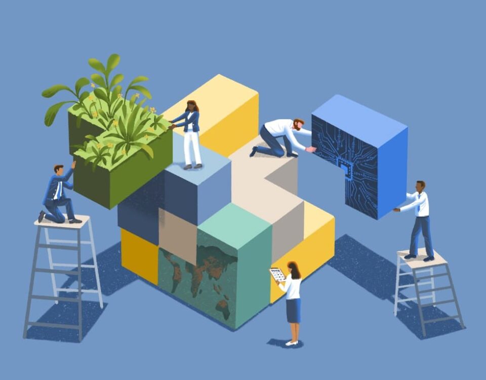 Asset Management Degree Requirements